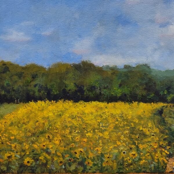 Field #2 - Jamey Krebs Paintings at River House Gallery