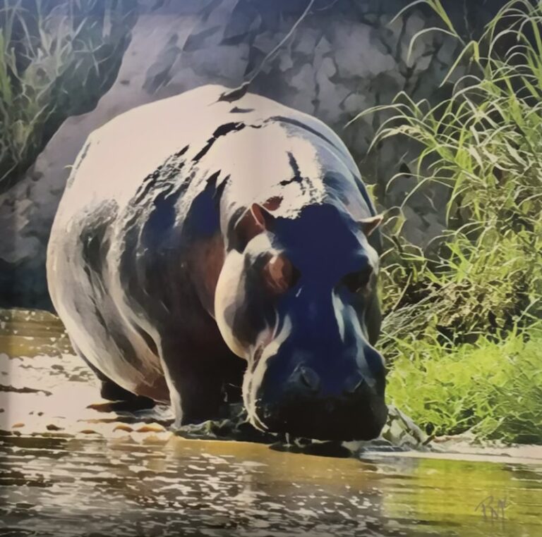 Penny McCrea Paintings at River House Gallery