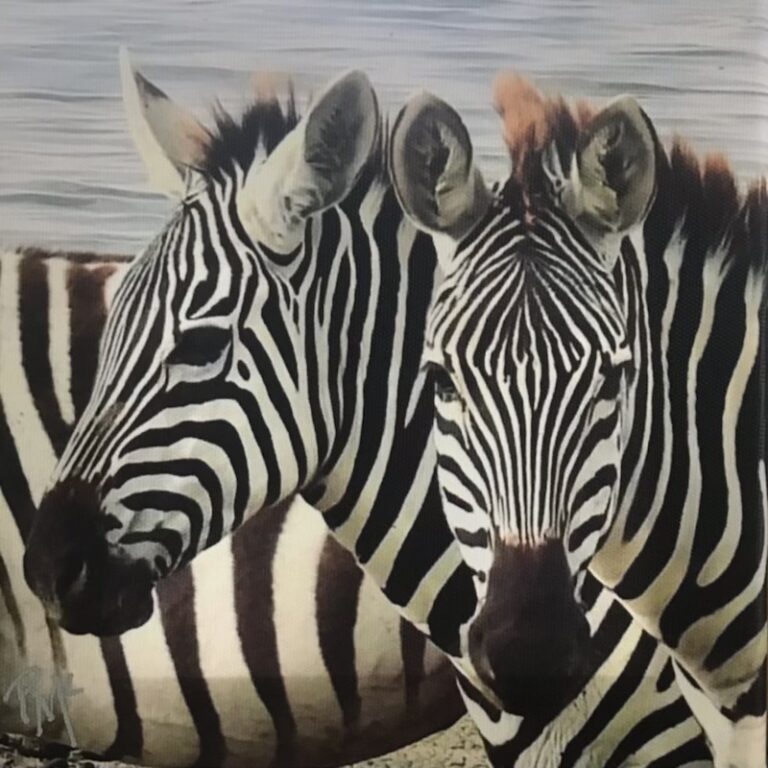 Penny McCrea Paintings at River House Gallery