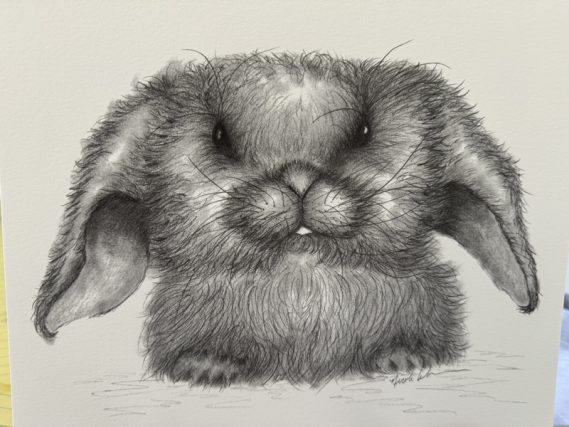 Nicki Wandersee Resting Bunny