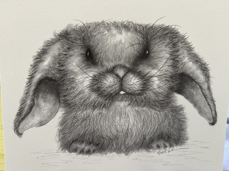 Nicki Wandersee Resting Bunny